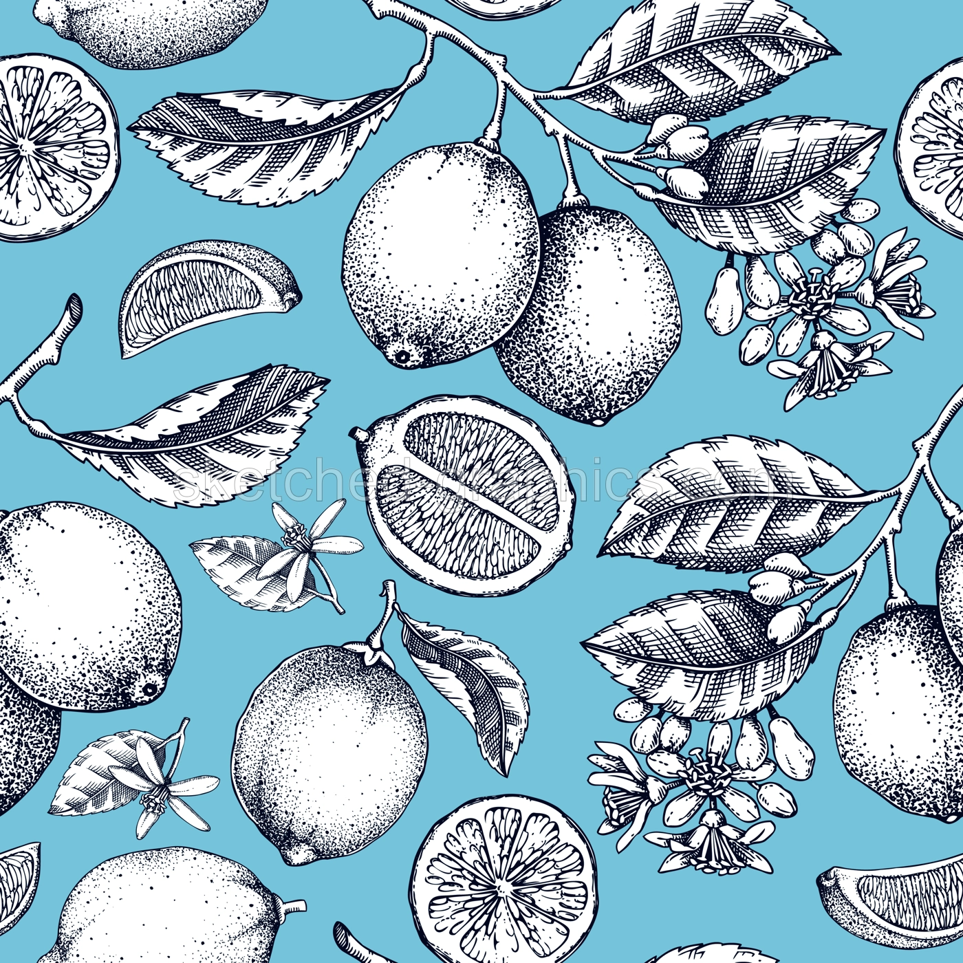 Lime fruit seamless pattern. Blue citrus fruit sketches. Botanical background. Exotic plants texture. Hand drawn vector illustration. NOT AI generated Illustration